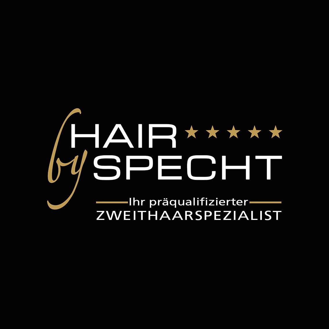 Dirk Specht - Hair by Specht Dirk Specht 