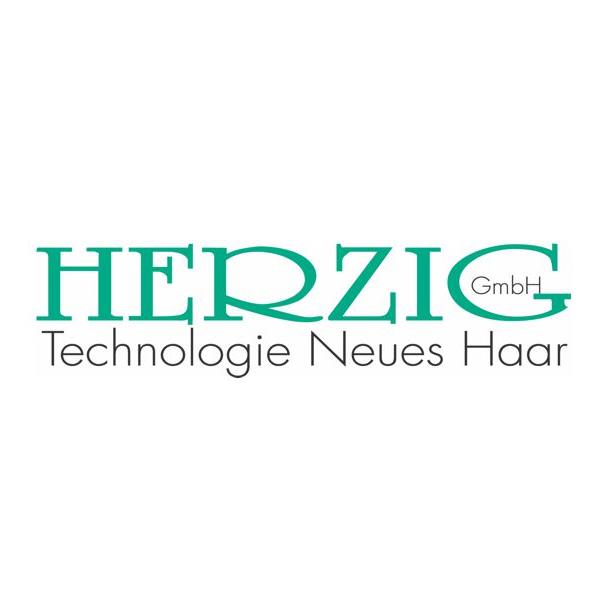 Herzig GmbH  