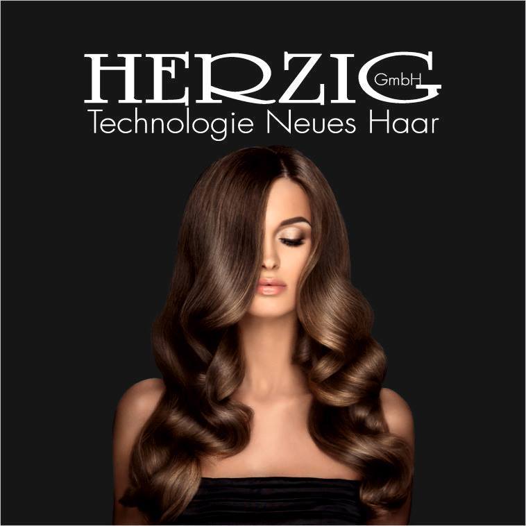 Herzig GmbH  