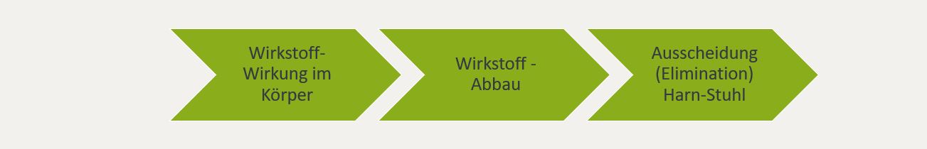 Wechselwirkungen: Verstoffwechslung und Ausscheidung 