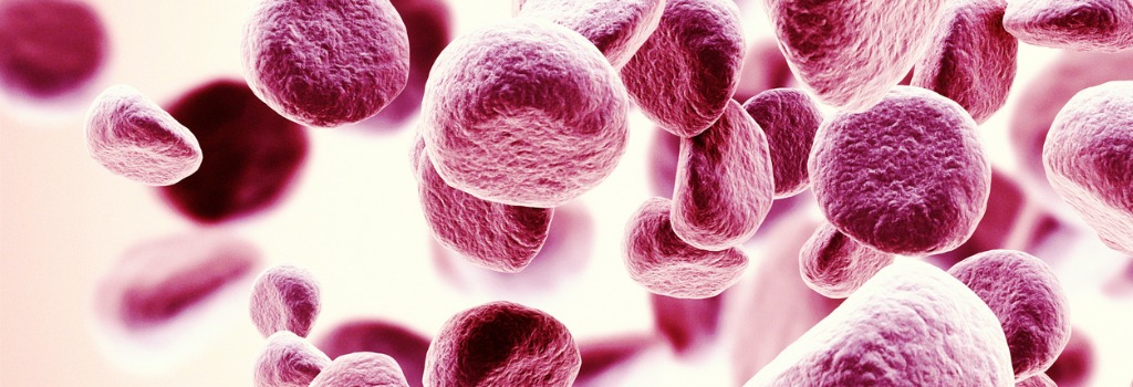 Rucaparib ( Dritter PARP-Inhibitor)