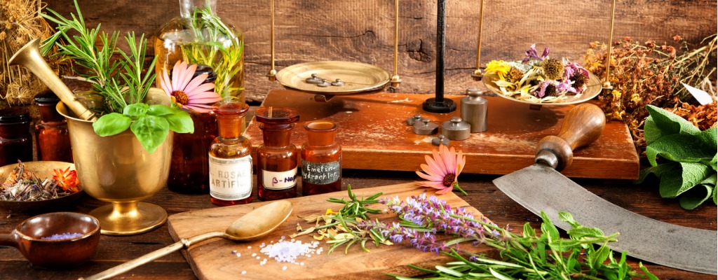 Phytotherapie (Pflanzenheilkunde) gegen Krebs