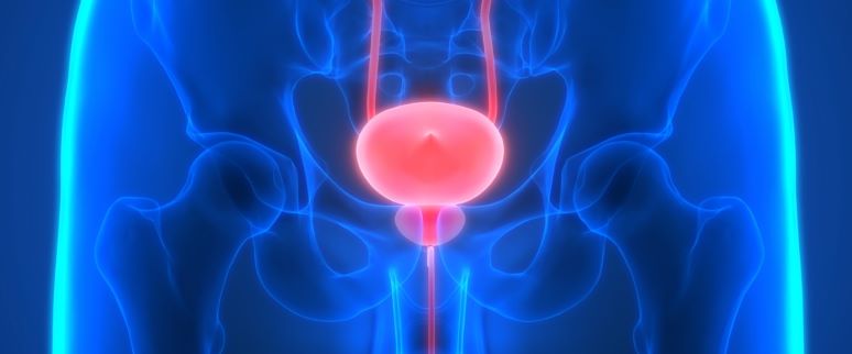 Was ist Prostatakrebs?