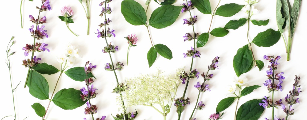 Ganzheitliche Krebstherapie