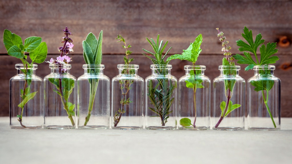 Umstrittene Therapien - Nautrheilkunde