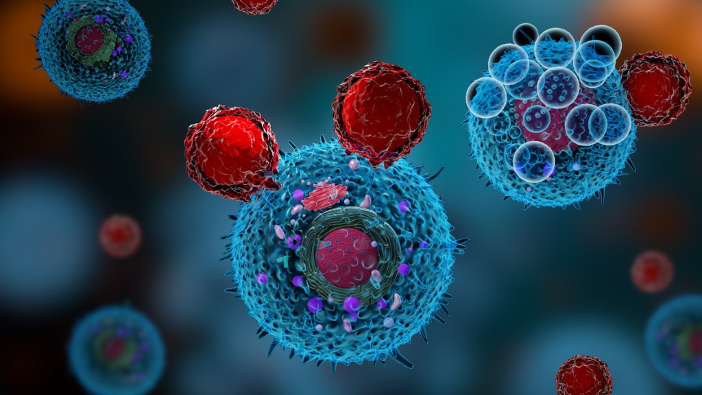 Wirkstoffe Immuntherapie: Elotuzumab (Empliciti)