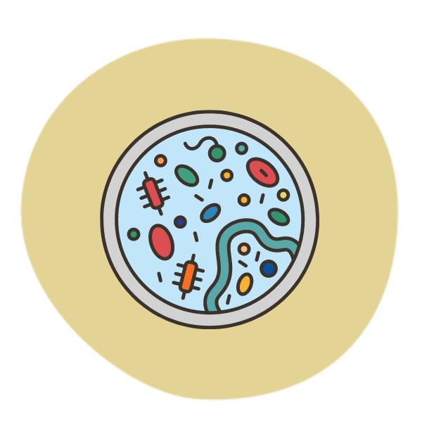 Entzündung (Prostatitis)