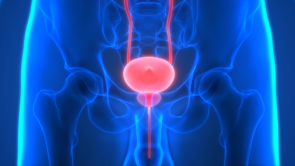 Nachsorge bei Prostatakrebs