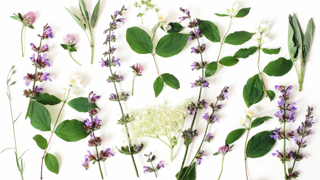 Ganzheitliche Krebstherapie