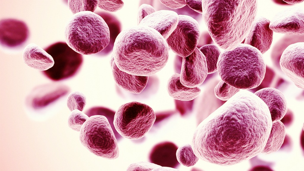Rucaparib (PARP-Inhibitor)