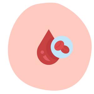 rote Blutkörperchen