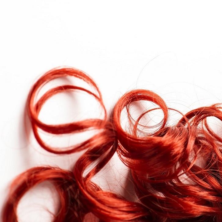 Schnittstelle Anja Schuster